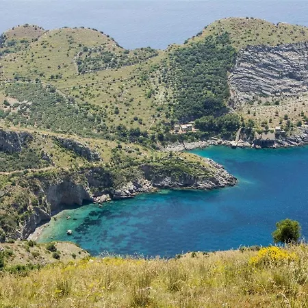 アパート Loving Times ソレント